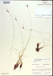 000021507-thumbnail.jpg