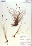 000021508-thumbnail.jpg