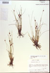 000021509-thumbnail.jpg