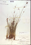 000021510-thumbnail.jpg