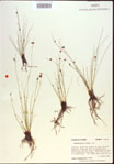 000021551-thumbnail.jpg