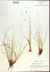 000021552-thumbnail.jpg