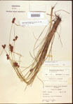 000021553-thumbnail.jpg