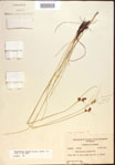 000021554-thumbnail.jpg