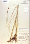 000021555-thumbnail.jpg