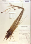 000021556-thumbnail.jpg