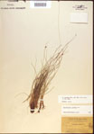 000021557-thumbnail.jpg
