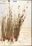 000021558-thumbnail.jpg