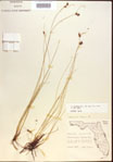 000021559-thumbnail.jpg