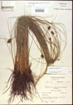 000021561-thumbnail.jpg