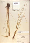 000021563-thumbnail.jpg