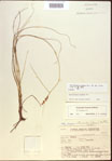 000021564-thumbnail.jpg