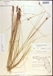 000021565-thumbnail.jpg