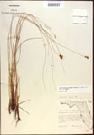 000021566-thumbnail.jpg