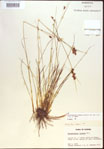 000021567-thumbnail.jpg