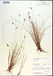 000021568-thumbnail.jpg