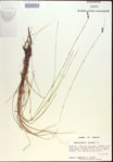 000021569-thumbnail.jpg