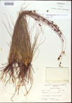 000021570-thumbnail.jpg