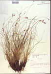 000021571-thumbnail.jpg