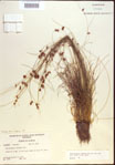 000021572-thumbnail.jpg