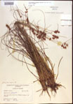 000021573-thumbnail.jpg