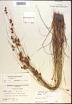 000021574-thumbnail.jpg