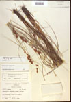 000021575-thumbnail.jpg