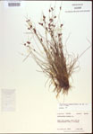 000021576-thumbnail.jpg