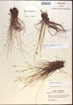 000021577-thumbnail.jpg