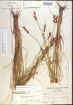 000021578-thumbnail.jpg