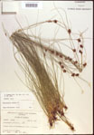 000021580-thumbnail.jpg