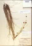 000021581-thumbnail.jpg