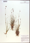 000021582-thumbnail.jpg