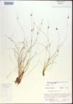 000021583-thumbnail.jpg