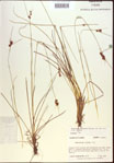 000021584-thumbnail.jpg