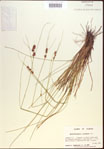 000021585-thumbnail.jpg
