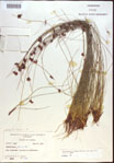 000021586-thumbnail.jpg