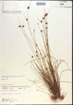 000021587-thumbnail.jpg