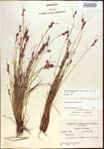 000021588-thumbnail.jpg