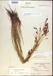 000021589-thumbnail.jpg