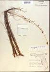 000021590-thumbnail.jpg