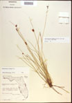 000021591-thumbnail.jpg