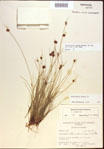 000021592-thumbnail.jpg