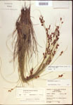 000021594-thumbnail.jpg