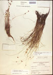 000021595-thumbnail.jpg