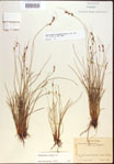 000021596-thumbnail.jpg