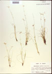 000021598-thumbnail.jpg