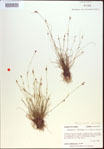 000021599-thumbnail.jpg