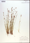 000021600-thumbnail.jpg