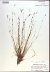 000021601-thumbnail.jpg